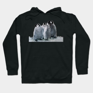 baby penguins Hoodie